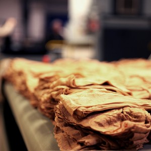 IMG 5524
