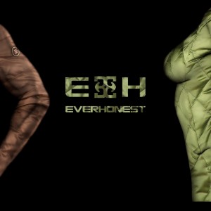 immagine home everhonest def3 2